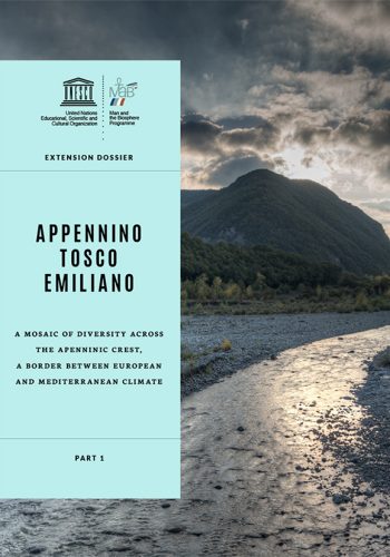 Copertina Dossier lingua inglese